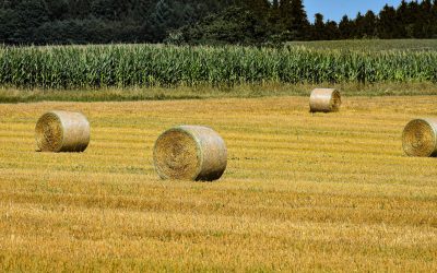 Colorado Hay Directory