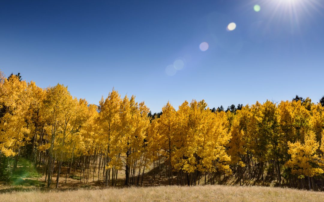 Support the Recreational Trails Program in Your State