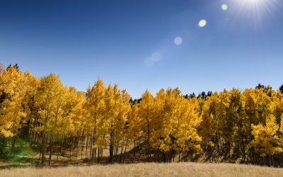 Support the Recreational Trails Program in Your State